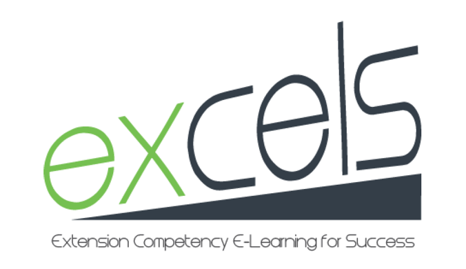 excels | Extension Competency E-Learning for Success